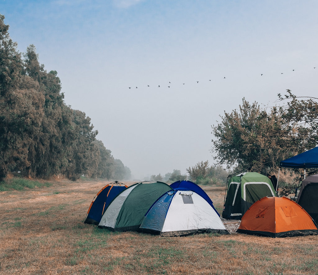 Tents and Awnings in a camping field