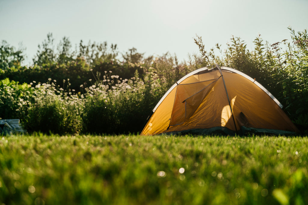 camping tent in a field